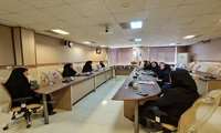 برپایی ایستگاه تبادل تجربه مادری و فرزندی در راستای گرامیداشت هفته سلامت